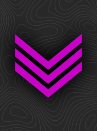 VM EFT